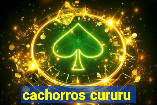 cachorros cururu